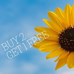 ALL ITEMS Buy 2 Items Get 3rd Free